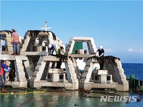 해수부, 축구장 4천개 규모 '바다숲' 추가 조성 사진