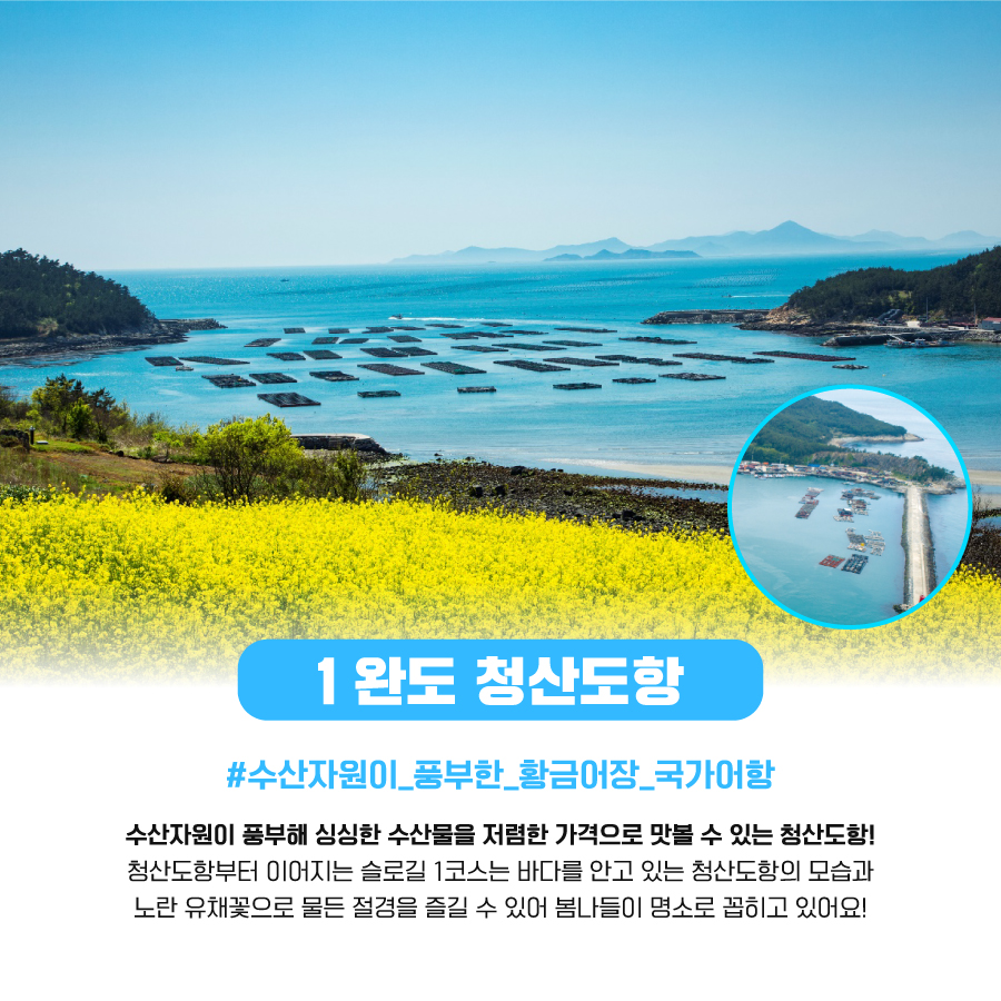 1. 완도 청산도항 #수산자원이_풍부한_황금어장_국가어항 수산자원이 풍부해 싱싱한 수산물을 저렴한 가격으로 맛볼 수 있는 청산도항! 청산도항부터 이어지는 슬로길 1코스는 바다를 안고 있는 청산도항의 모습과 노란 유채꽃으로 물든 절경을 즐길 수 있어 봄나들이 명소로 꼽히고 있어요!