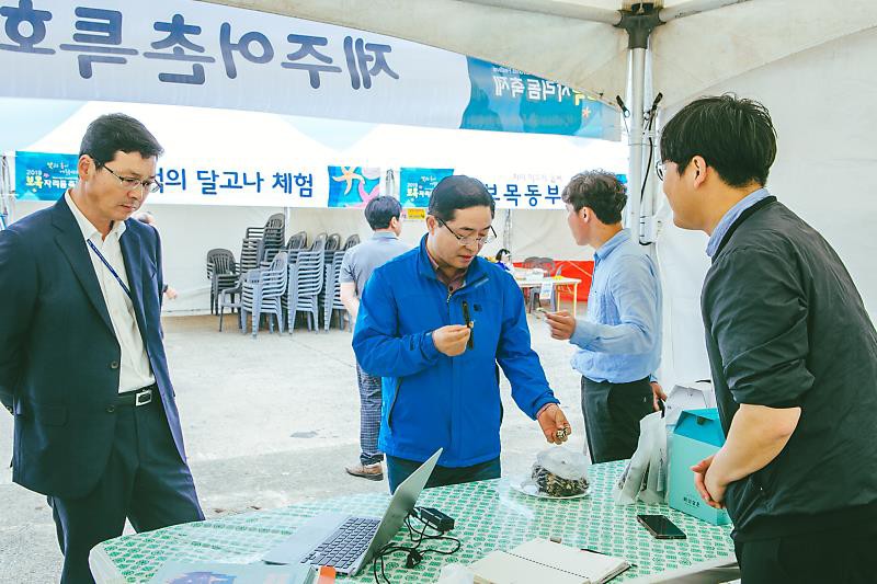 보목자리돔 축제 - 톳부각을 시식중인 사진