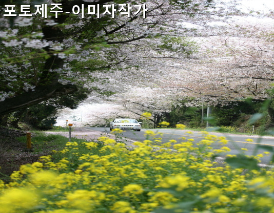 제주의길고성중산간