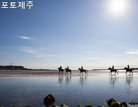 신양해수욕장 승마